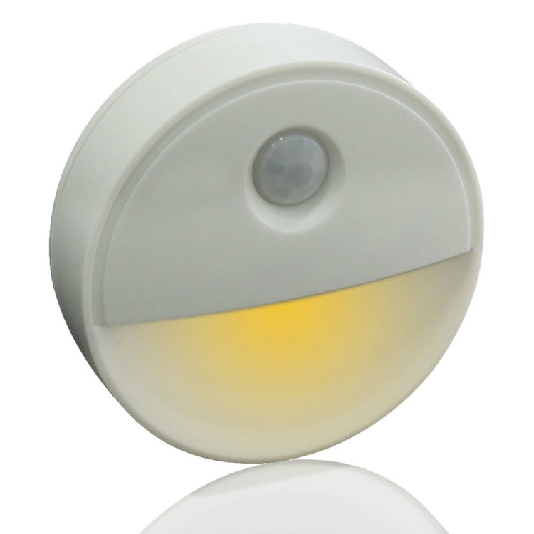 2 LEDs PIR Motion Sensor LED Novelty Lighting Sensitive Wall Ceiling Nightlight Cabinet Hallway Pathway Lamp