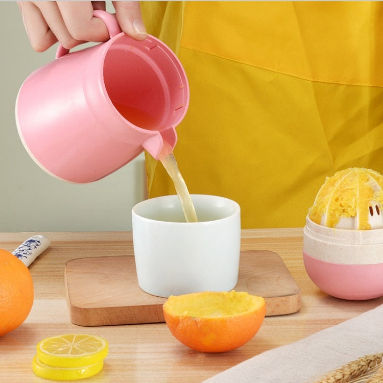 Multifunctional Mini Manual Juicer,Random Color Delivery