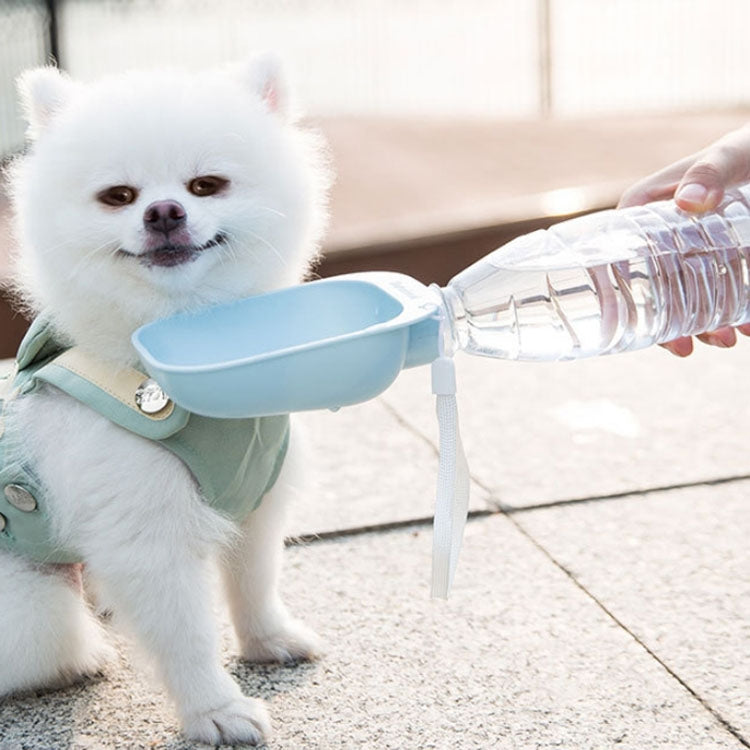 Pet Square Bowl Drinking Head Cat Portable Accompanying Cup Dog Drinking Fountain