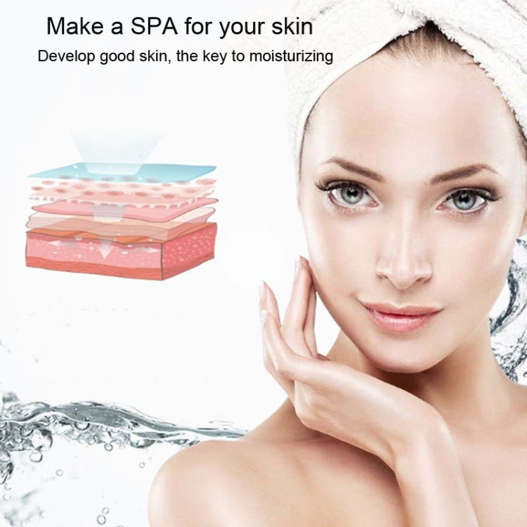 L20 Facial Hydration Instrument Air Humidifier USB Beauty Cold Spray Instrument Auto Alcohol Disinfection Sprayer
