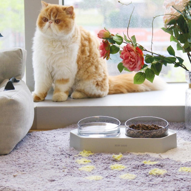 Pet Inclined Mouth Anti-tipping Dog and Cat Plastic Bowl Water Dispenser, Style:Single Bowl