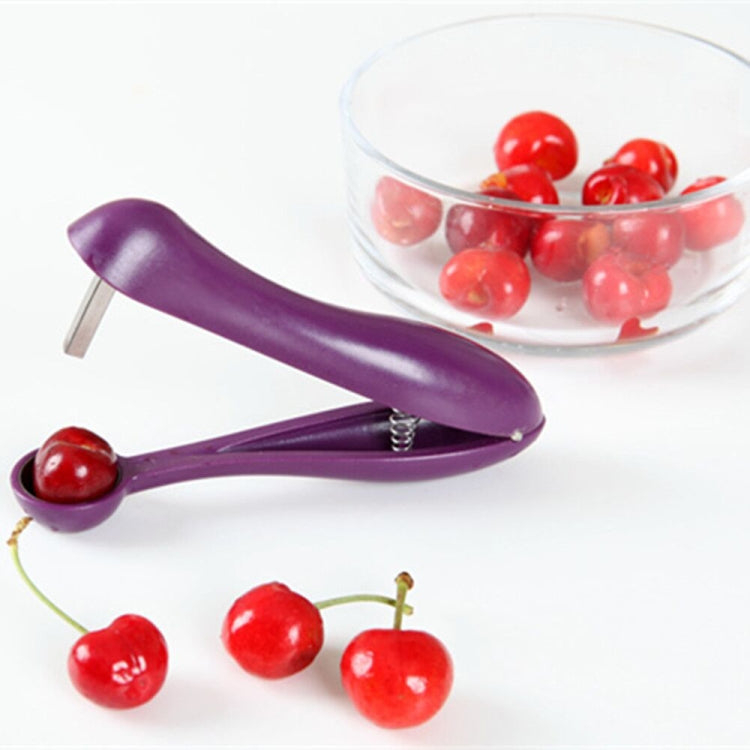 2 PCS Fruit Artifact Stainless Steel Jujube Cherry Denucleator Seeder Creative Home Kitchen Tools