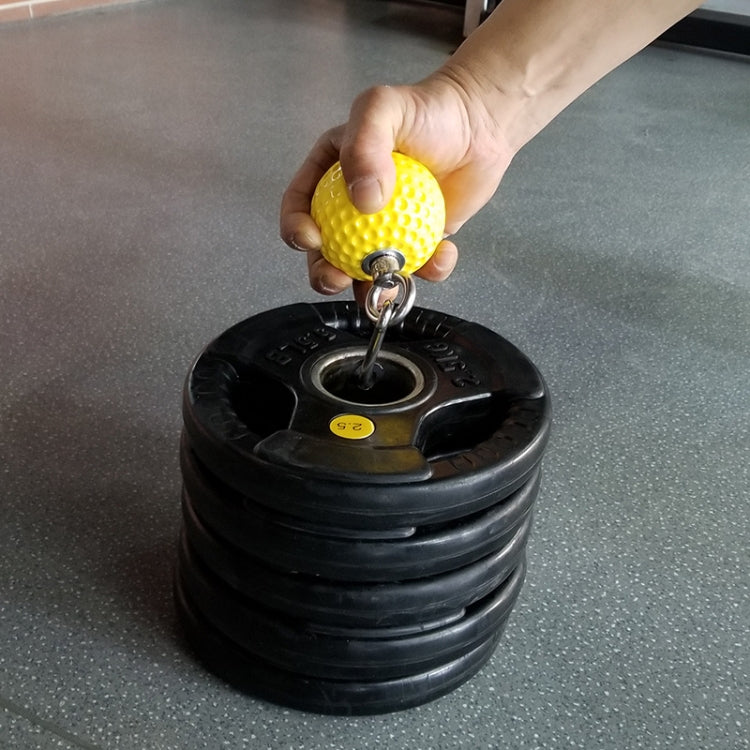 Dumbbell Arm Wrist Training Ball Fitness Grip, Diameter: 72mm