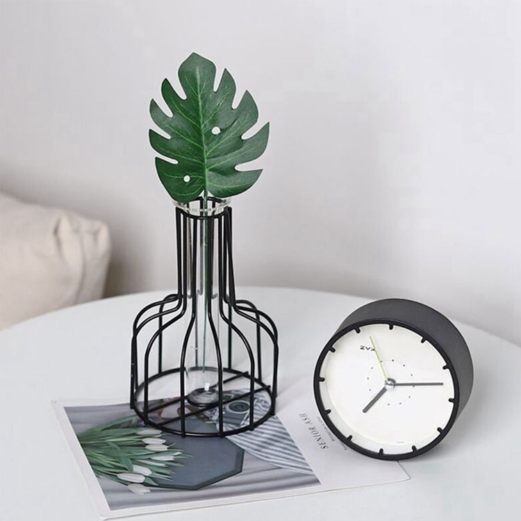 Wrought Iron Hydroponic Green Dried Flower Glass Flower Insert Decoration Without  Fake Flowers