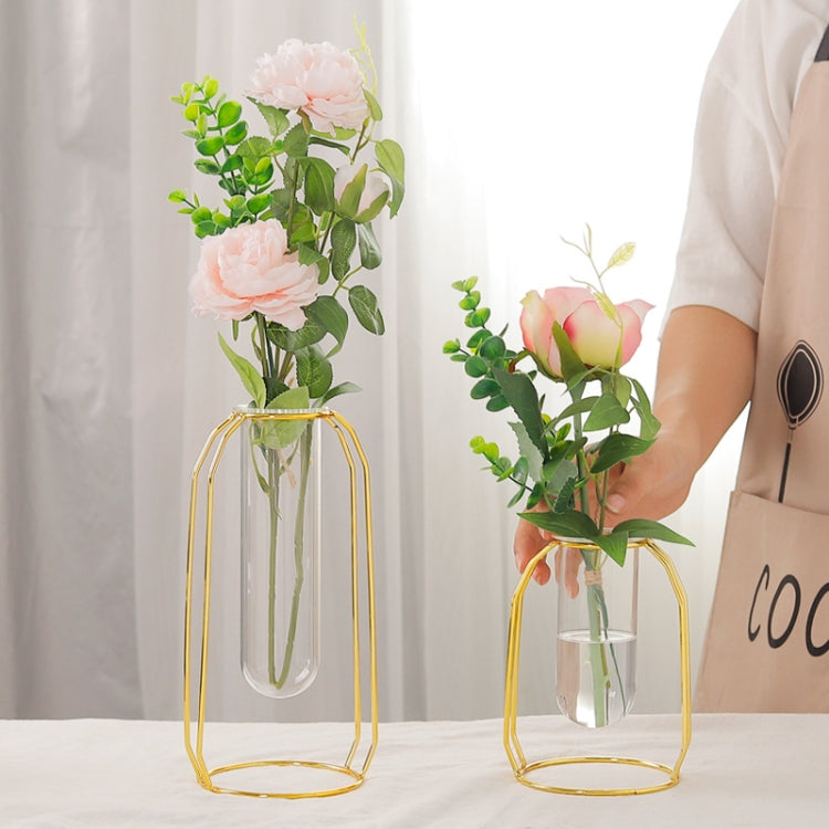 Home Desktop Decoration Gold Wrought Iron Hydroponic Container Glass Bottle, Specification: Short