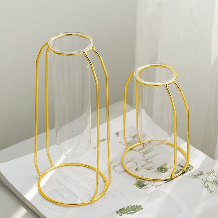 Home Desktop Decoration Gold Wrought Iron Hydroponic Container Glass Bottle, Specification: High