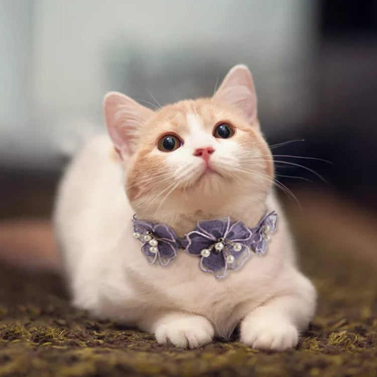 Pet Jewelry Collar Creative Teddy Lace Flower Lace Bib Cute Cat Necklace, Size: M