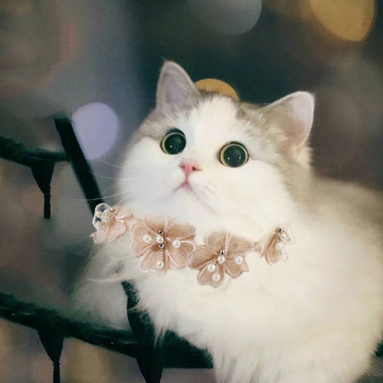 Pet Jewelry Collar Creative Teddy Lace Flower Lace Bib Cute Cat Necklace, Size: L