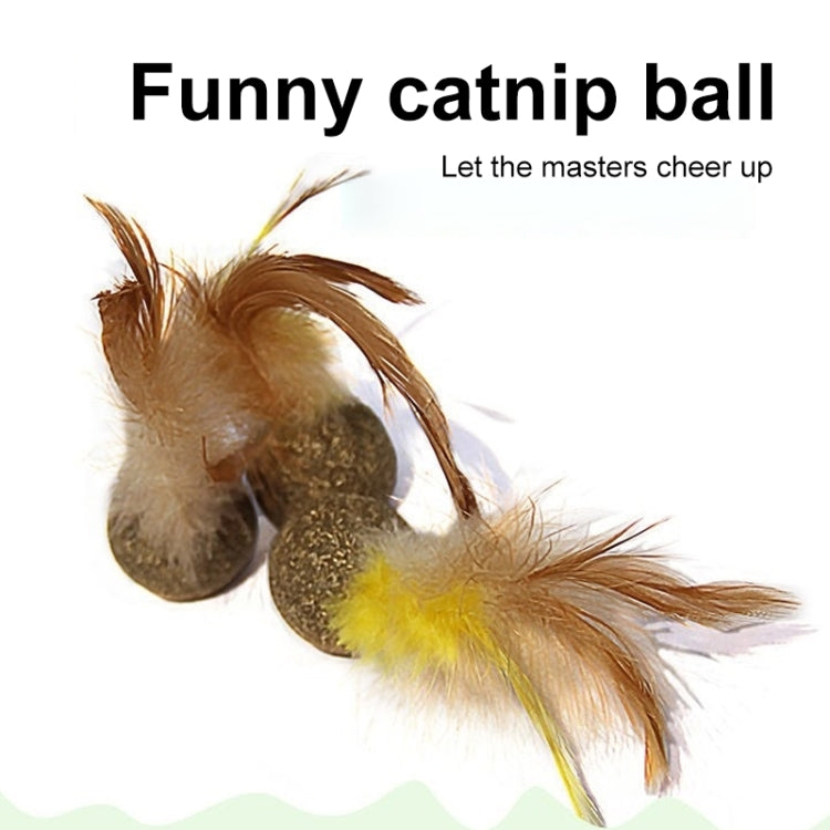 2 PCS B12208 Catnip Ball Toy Clean Clean Tooth Molar Feather Ball
