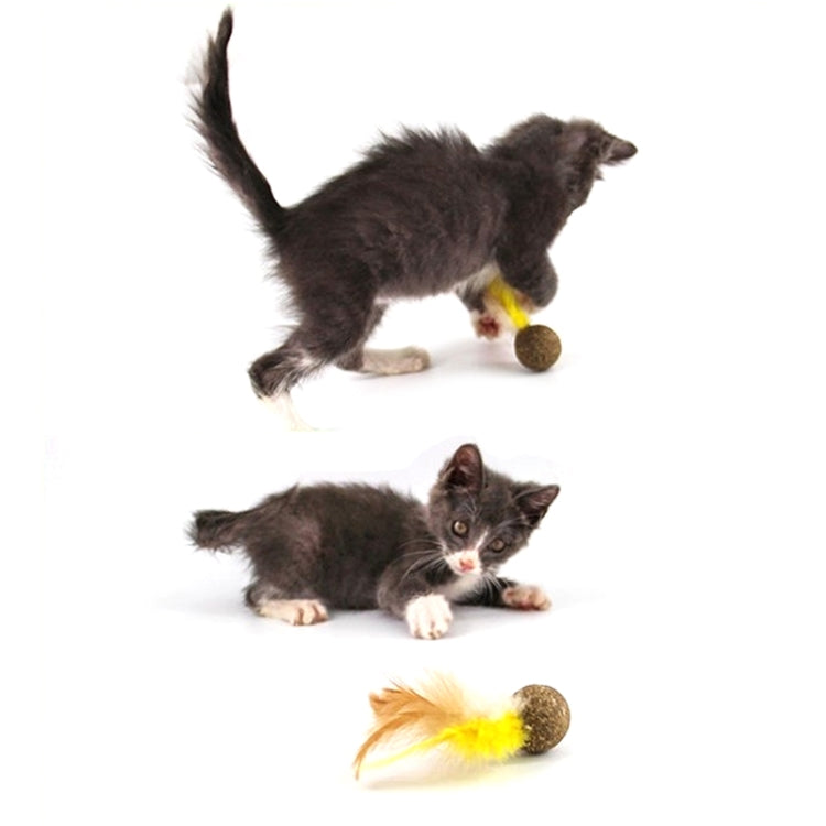 2 PCS B12208 Catnip Ball Toy Clean Clean Tooth Molar Feather Ball