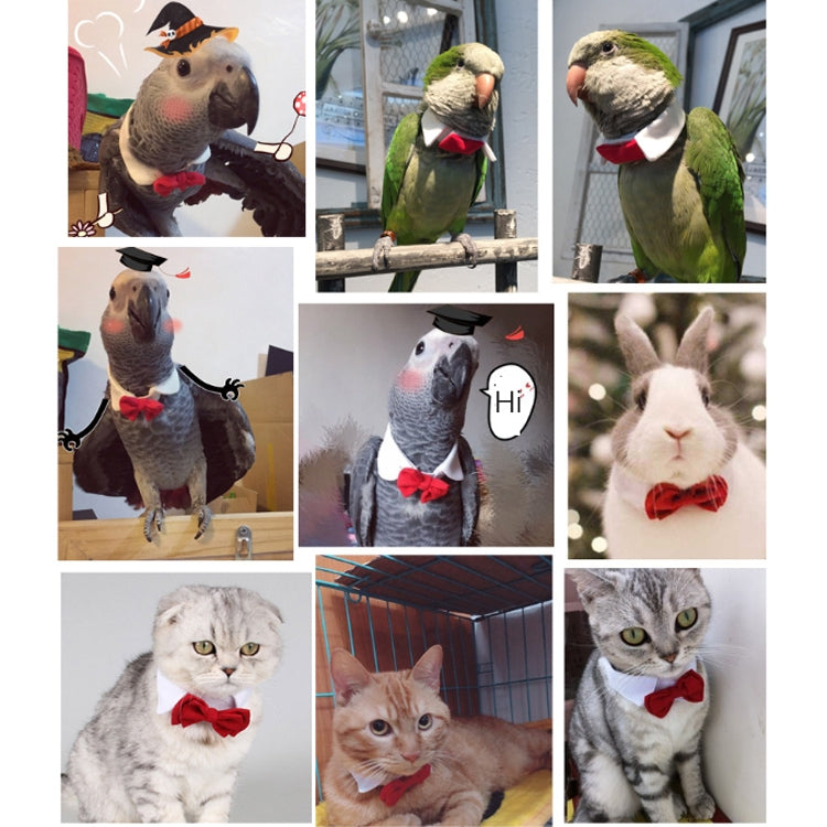 2 PCS Creative Handmade Custom Parrot Collar Bow Tie, Specification: L