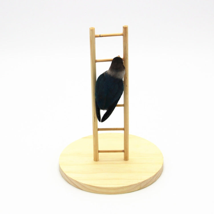 Hamster Parrot Bird toy Training Ladder Standing Bar Bird Ladder, Specification: 6 Ladder