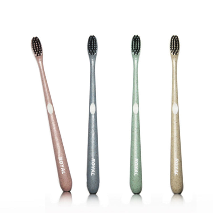 10 PCS Adult Soft Toothbrush Portable Cleaning Charcoal Bristle Brush with Travel Storage Case Random Color
