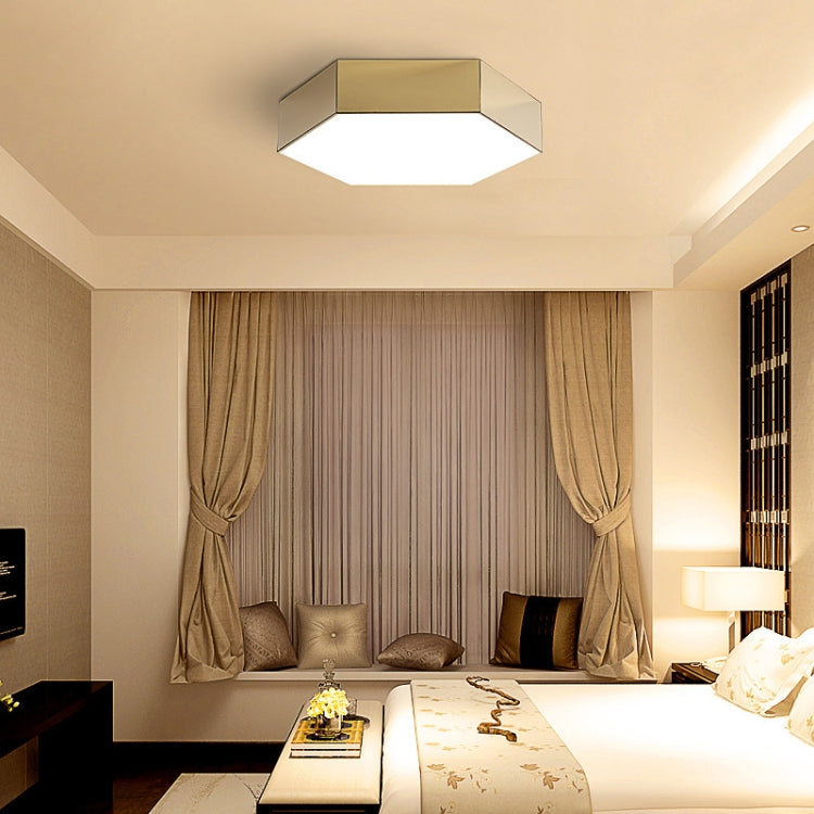 Simple Living Room Aisle Stainless Steel Ceiling Lamp with 5W White Light LED