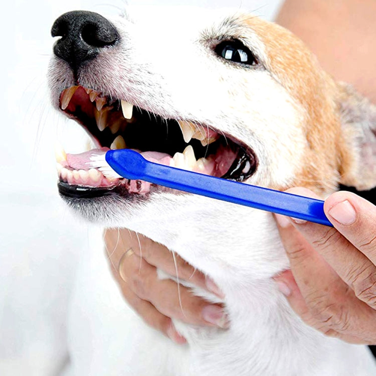 20 PCS Dog Cat Effective Pets Oral Care Pet Toothbrush, Specification:Blue Handle + Medium Hair(Blue)