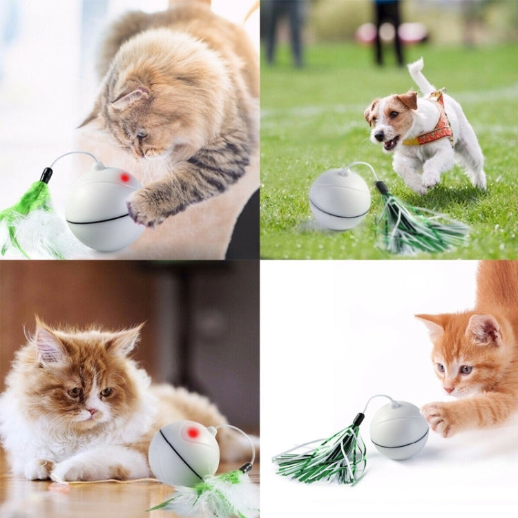 USB Rechargeable LED Scrolling Flash Ball Cat Funny Toy