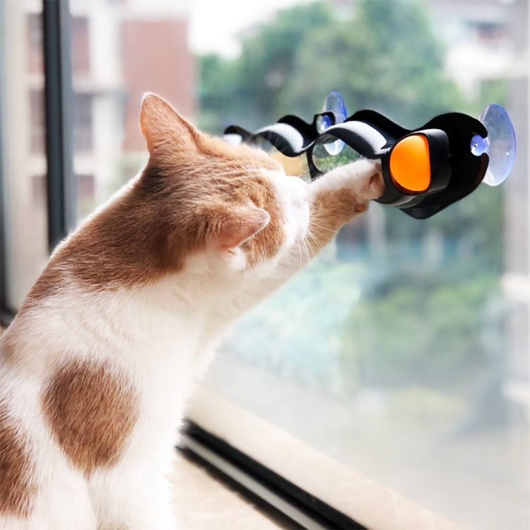 Pet Sucker Track Ball Toy Cat Interactive Toy