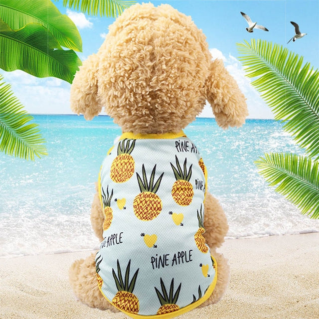 Pet Fruit Print T-Shirt Puppy Dog Cat Cute Fruit Skirt, Size:XS
