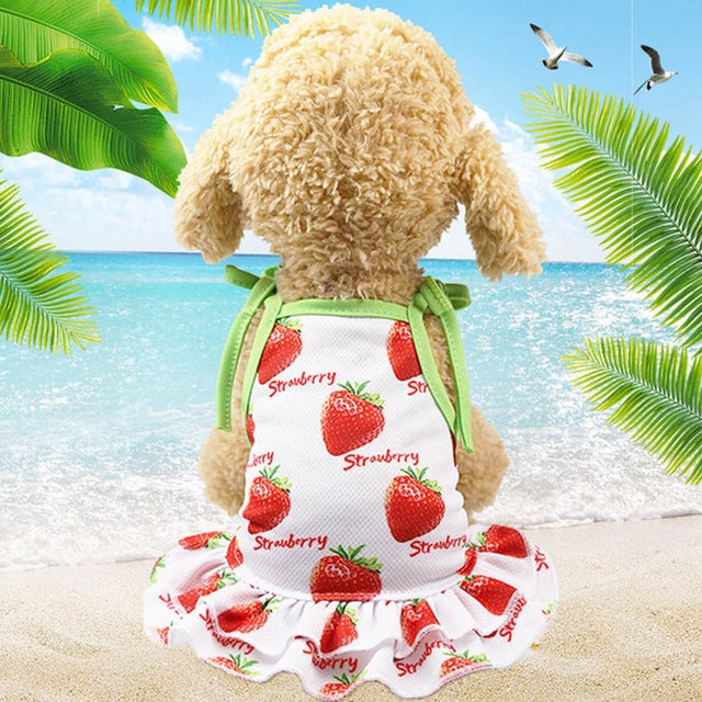 Pet Fruit Print T-Shirt Puppy Dog Cat Cute Fruit Skirt, Size:XS
