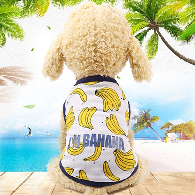 Pet Fruit Print T-Shirt Puppy Dog Cat Cute Fruit Skirt, Size:M