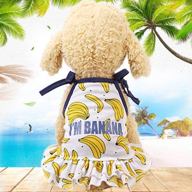 Pet Fruit Print T-Shirt Puppy Dog Cat Cute Fruit Skirt, Size:M
