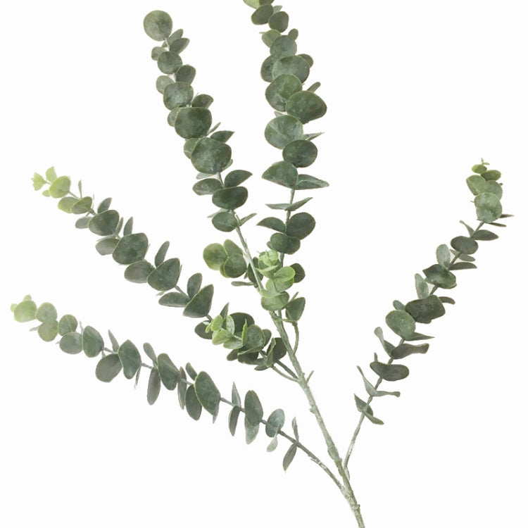 Simulation Plant  Eucalyptus Single Money Leaf Interior Decoration Flower Arrangement Wedding Decoration