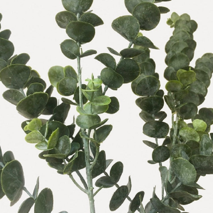 Simulation Plant  Eucalyptus Single Money Leaf Interior Decoration Flower Arrangement Wedding Decoration