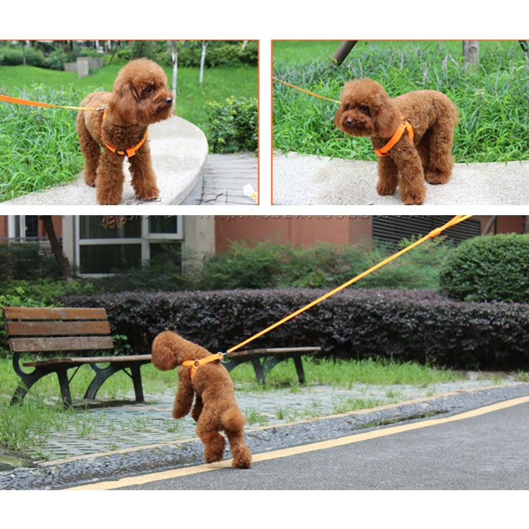 Double Sided LED Light Pet Harness Nylon Cat Dog Chest Strap Leash, Size:XL
