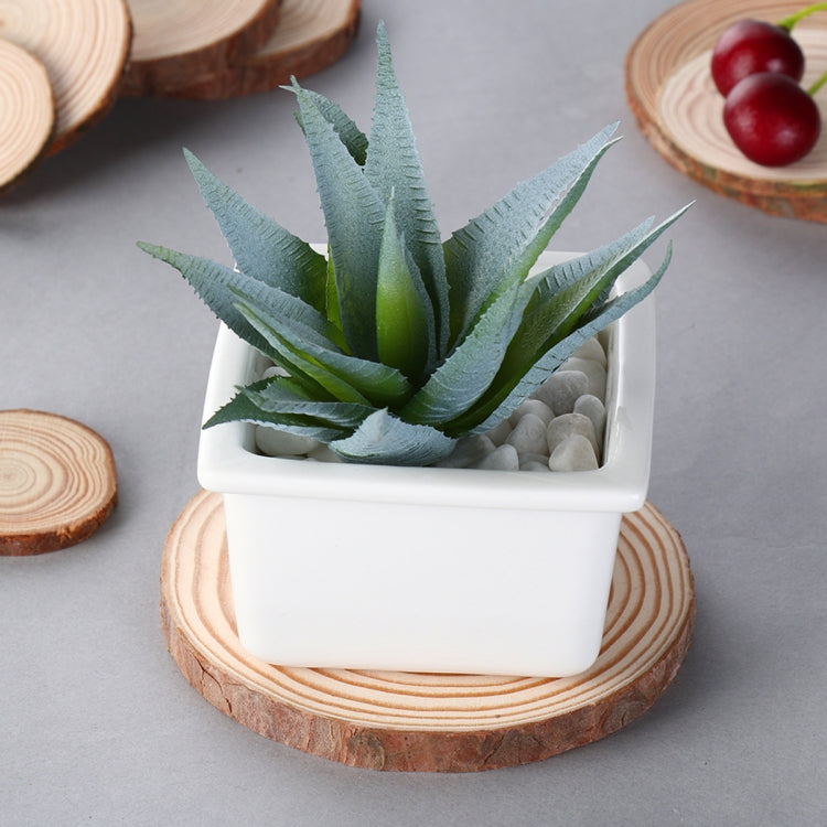Aromatherapy Candle Round with Skin Pine Coaster Natural Wood Chips Small 8-10cm
