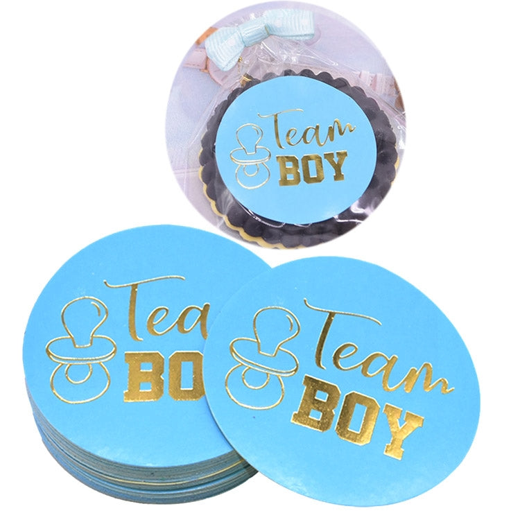 20 PCS Team Boy Team Girl Stickers Boy or Girl Vote Sticker for Gender Reveal Party