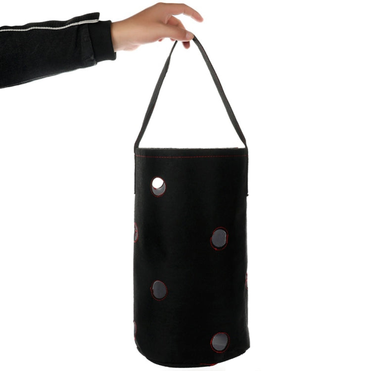 Felt Hanging Strawberry Naked Root Plant Non-woven Planting Bag, Size:22 x 38 cm(Black)