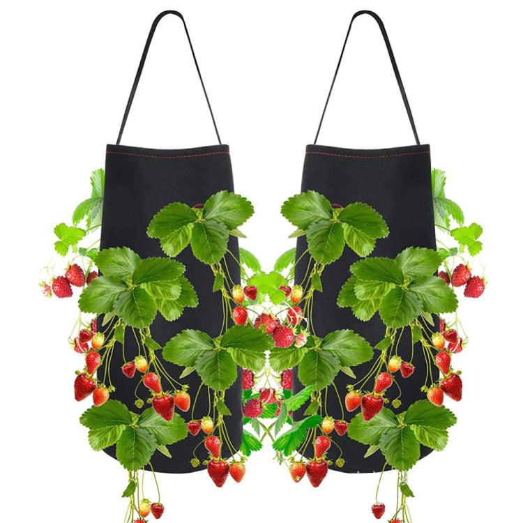 Felt Hanging Strawberry Naked Root Plant Non-woven Planting Bag, Size:22 x 38 cm(Black)