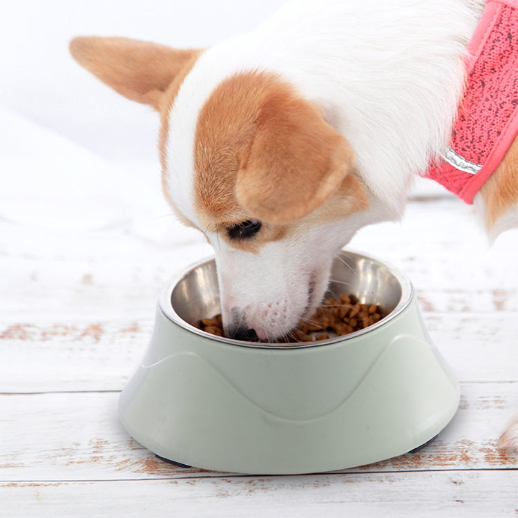 Pet Food Bowl Stainless Steel Dog Cat Dual-use Bowl