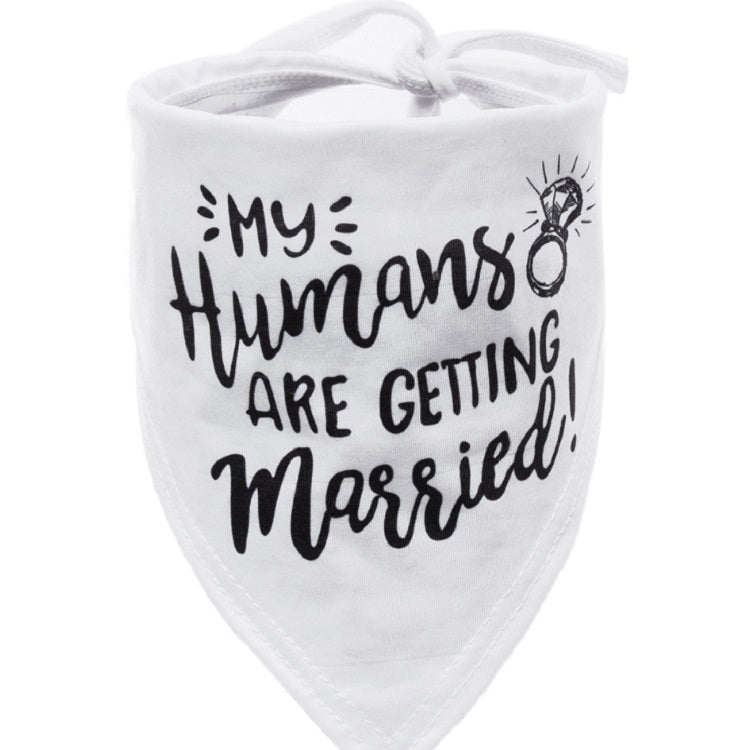 Pet Triangle Towel Saliva Towel