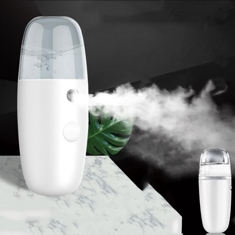 Personal Care Electronic Beauty Instrument Moisturizing Instrument Automatic Alcohol Sprayer