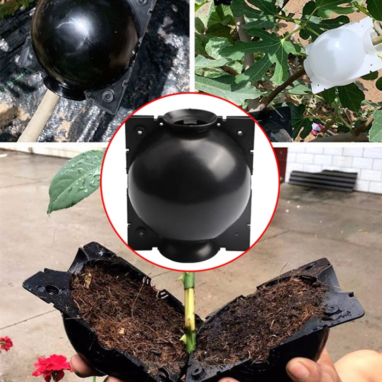 5 PCS High Pressure Propagation Ball Graft Box Breeding Case For Garden Graft, Size: 5cm