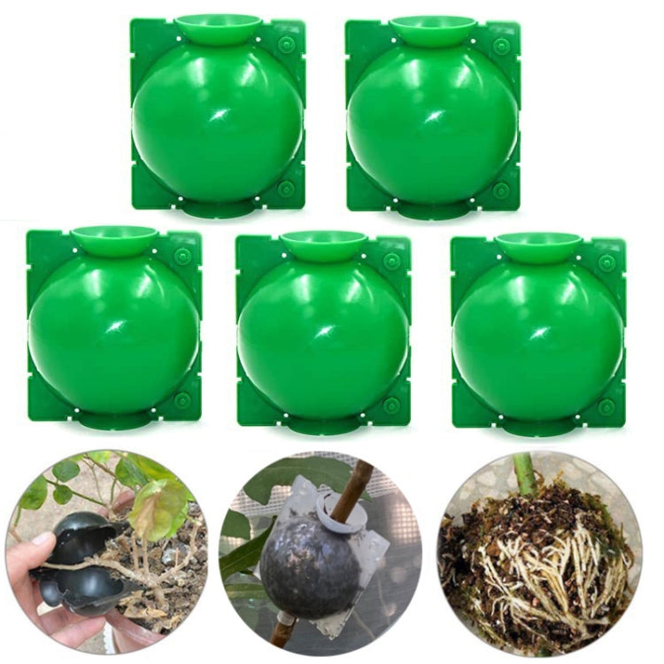 5 PCS High Pressure Propagation Ball Graft Box Breeding Case For Garden Graft, Size: 8cm
