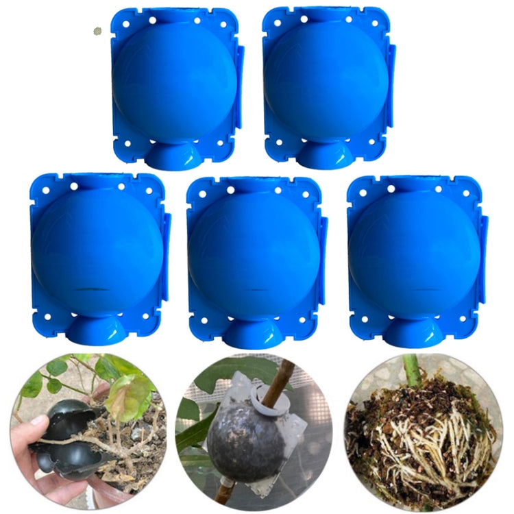 5 PCS High Pressure Propagation Ball Graft Box Breeding Case For Garden Graft, Size: 8cm