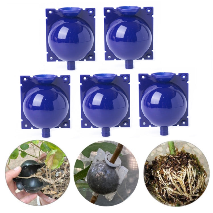 5 PCS High Pressure Propagation Ball Graft Box Breeding Case For Garden Graft, Size: 8cm