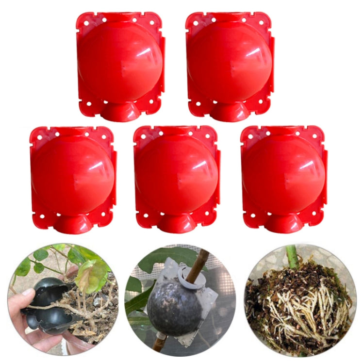 5 PCS High Pressure Propagation Ball Graft Box Breeding Case For Garden Graft, Size: 12cm