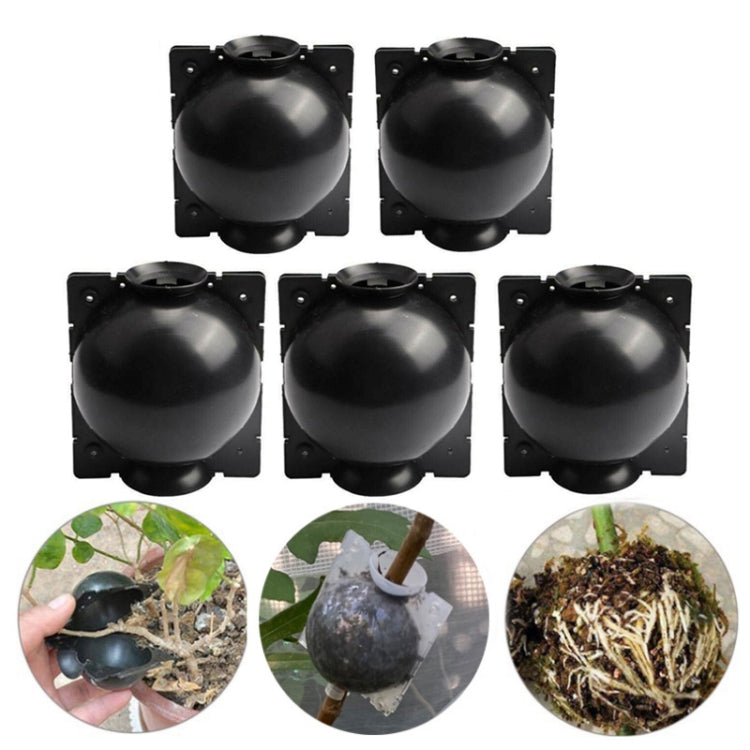 5 PCS High Pressure Propagation Ball Graft Box Breeding Case For Garden Graft, Size: 12cm