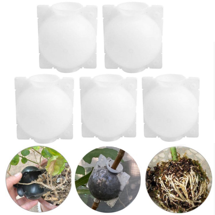 5 PCS High Pressure Propagation Ball Graft Box Breeding Case For Garden Graft, Size: 12cm