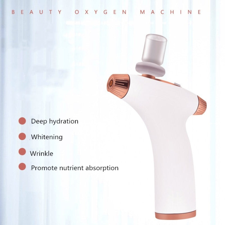 Handheld Oxygen Injector Household Nano Sprayer Facial High Pressure Water Oxygen Meter