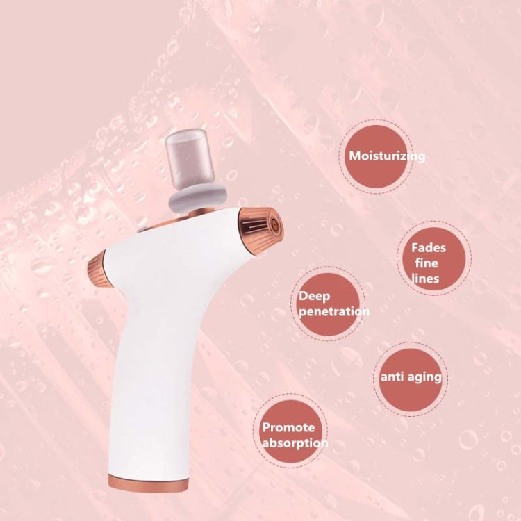 Handheld Oxygen Injector Household Nano Sprayer Facial High Pressure Water Oxygen Meter