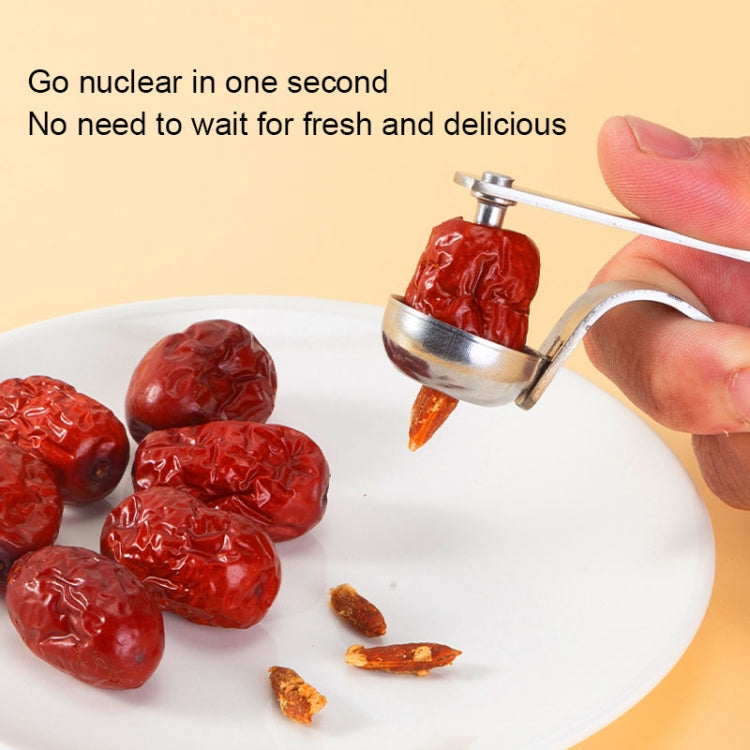 304 Stainless Steel Jujube Core Removal Tool Corer Nucleator