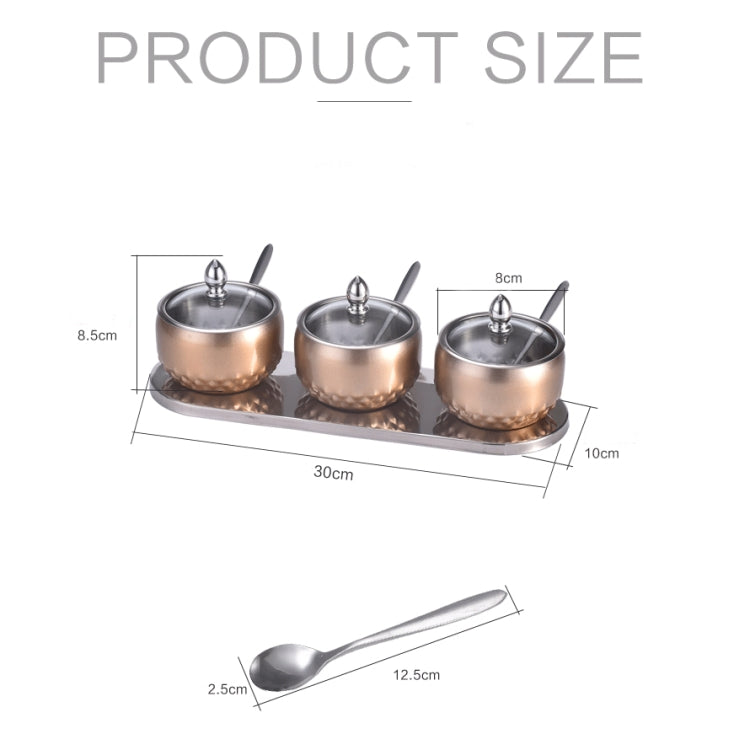 3 in 1 Creative Stainless Steel Seasoning Jar Glass Lid Seasoning Bottle Combination Set With Spoon