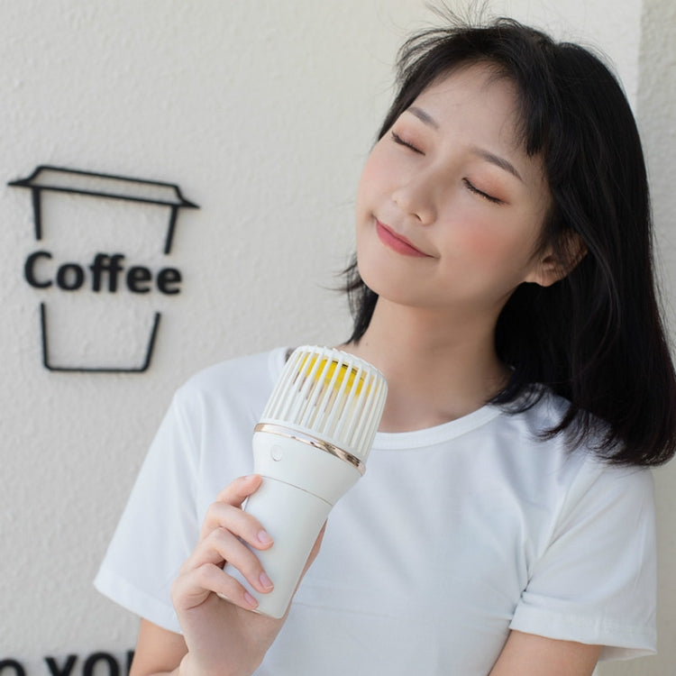 Simple Microphone USB Handheld Spray Moisturizing Fan