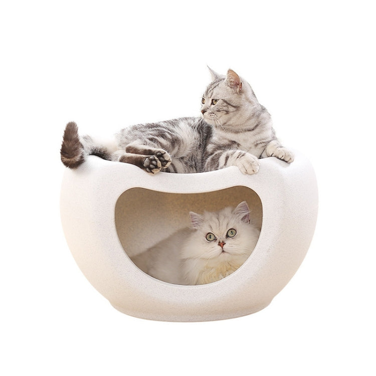 Four Seasons General Cat Litter Pet Supplies