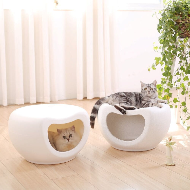 Four Seasons General Cat Litter Pet Supplies