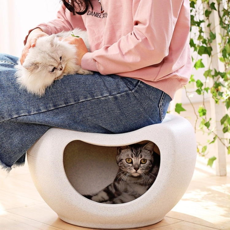 Four Seasons General Cat Litter Pet Supplies